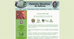 Desktop Screenshot of parientessilvestres.museonoelkempff.org